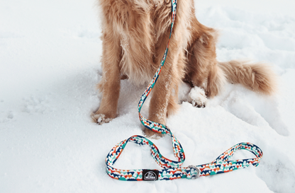 Everyday Leash | Hello Winter Collection