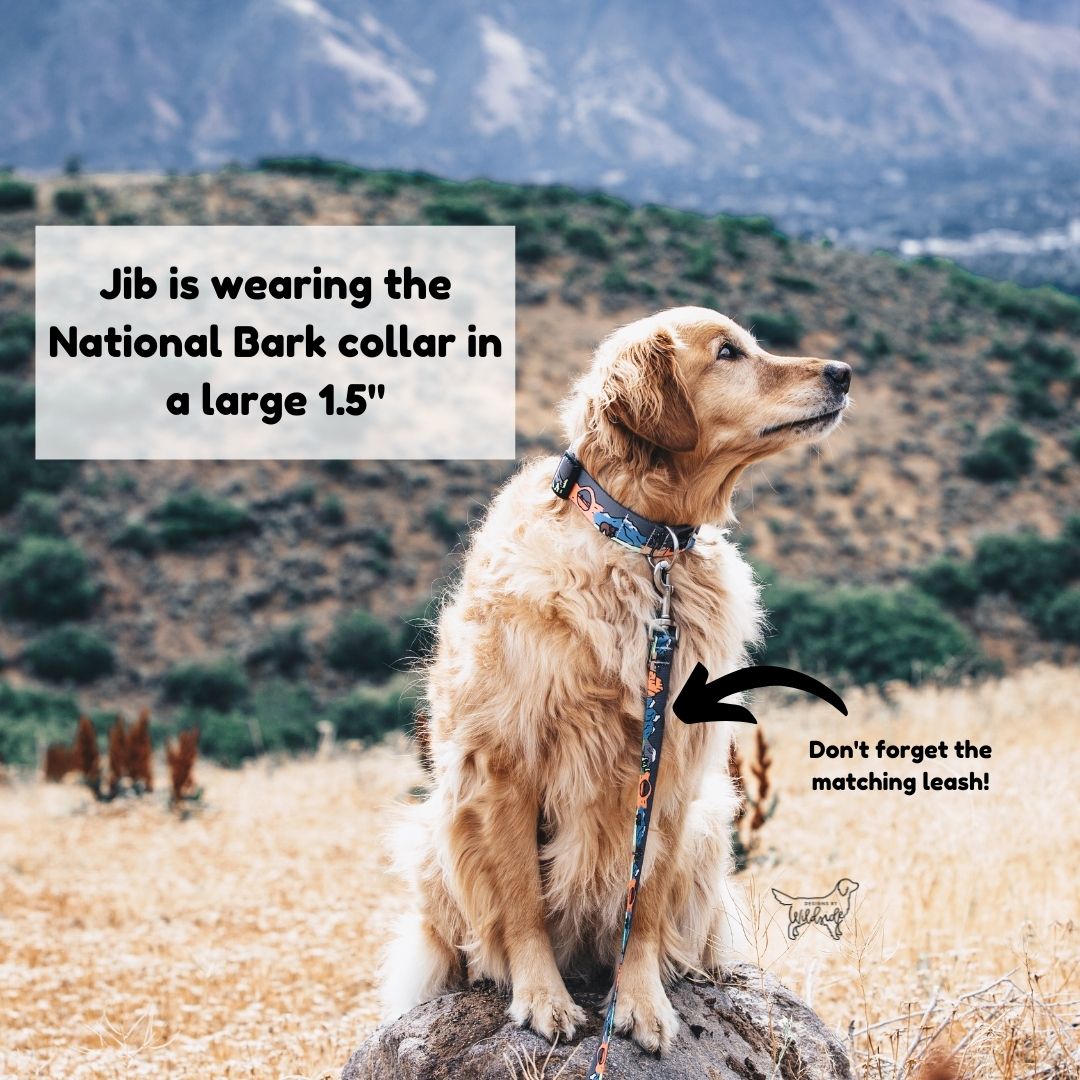K2 Mountain Water Resistant Dog Collar (Black)