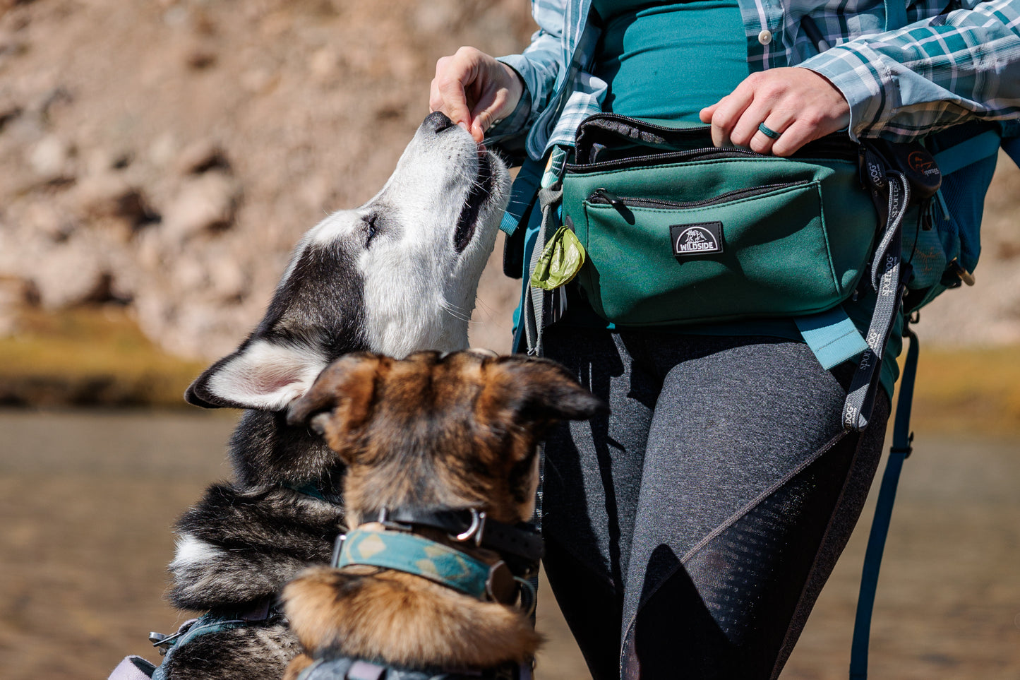 Mt. Millicent Explorer Dog Walking Belt Bag