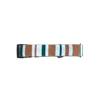 Fall Desert Eco-Canvas Collar