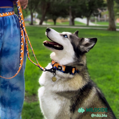 Adjustable Hands Free Leash | Hello Winter Collection