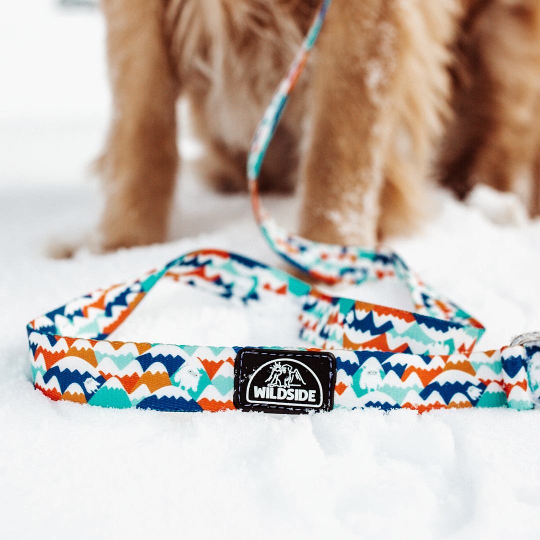 Yeti in the Alps (Blue Version) Rust Proof Dog Collar