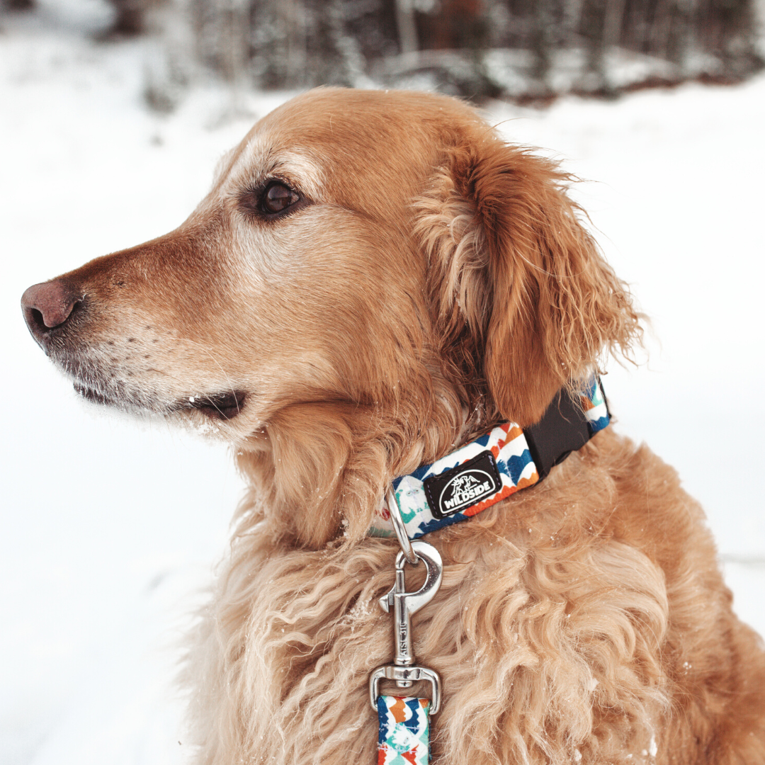 Yeti in the Alps (Blue Version) Rust Proof Dog Collar