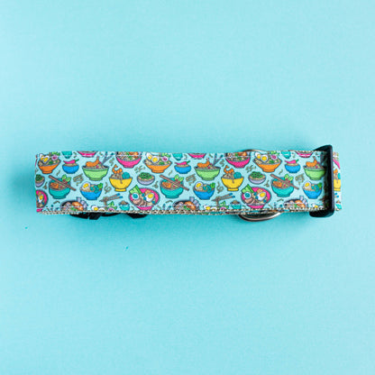 teal blue dog collar, waterproof dog collar, dog collar for male dog, medium dog collar, what size dog collar, wide dog collar, dog collars for puppies
