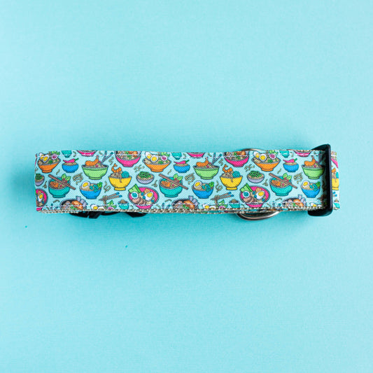 teal blue dog collar, waterproof dog collar, dog collar for male dog, medium dog collar, what size dog collar, wide dog collar, dog collars for puppies
