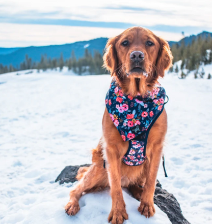 Wild Meadows Adventure Bandana ( reversible bandana) - Designs By Wildside 